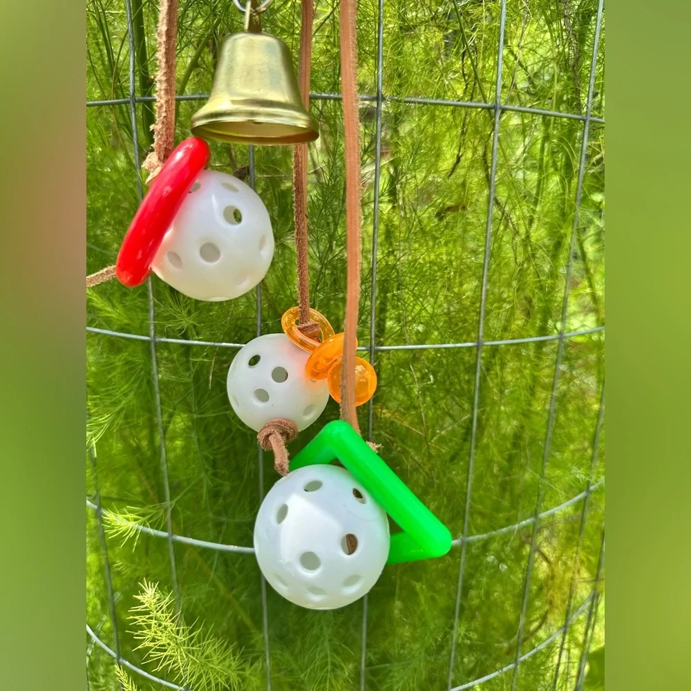 Interactive Hanging Bird Toy with Bell